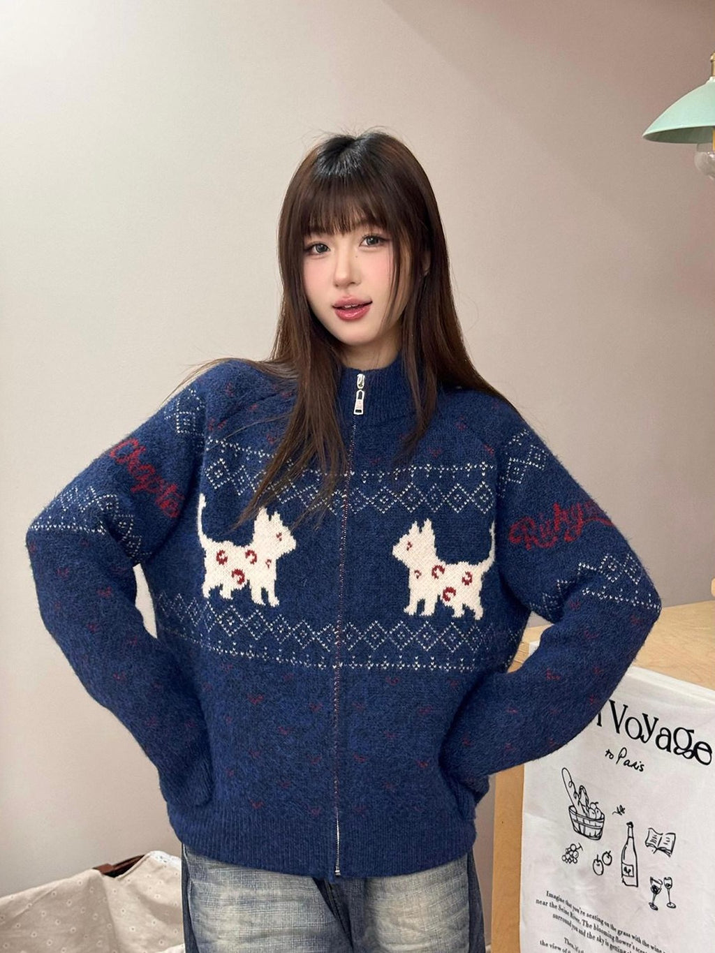 RickyisClown Cat Motif Zipper Stand Collar Loose Fit Men's Polyester Blend Cardigans