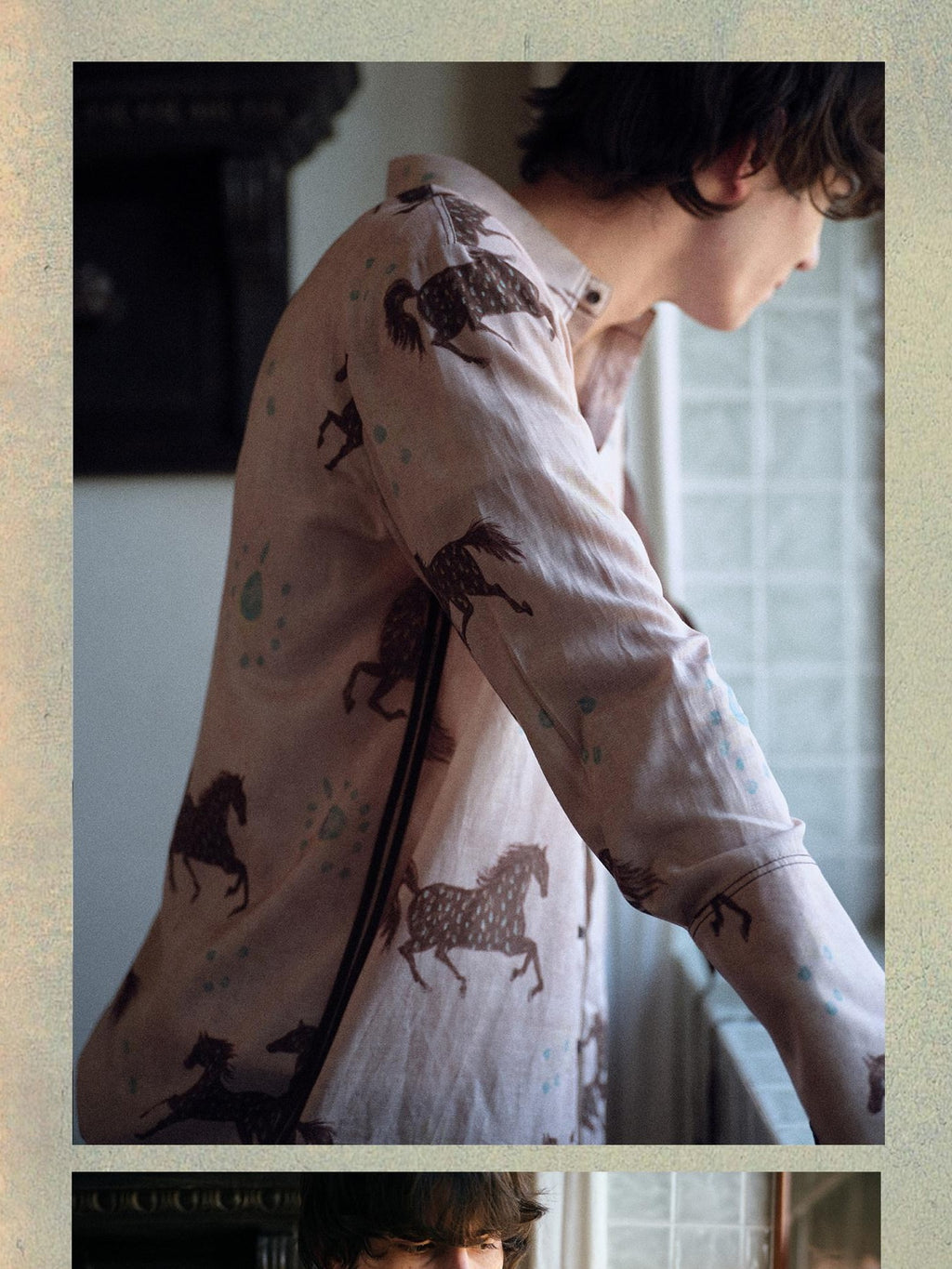 soknot Asymmetrical Long Sleeve Oversized Horse Floral Print Men's Print Shirts